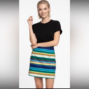 TALBOTS Skirt A Line Colorful Primary Colors Striped Career Petite Green Blue 6